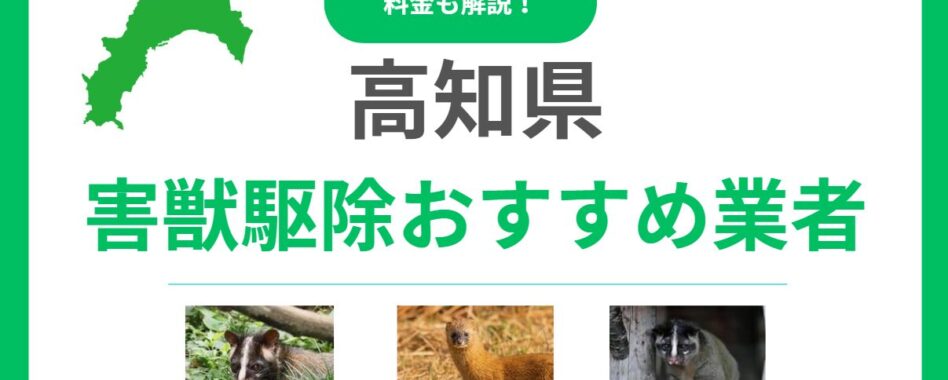 【高知県】害獣駆除のおすすめ業者15選！料金相場と優良な会社の選び方を解説