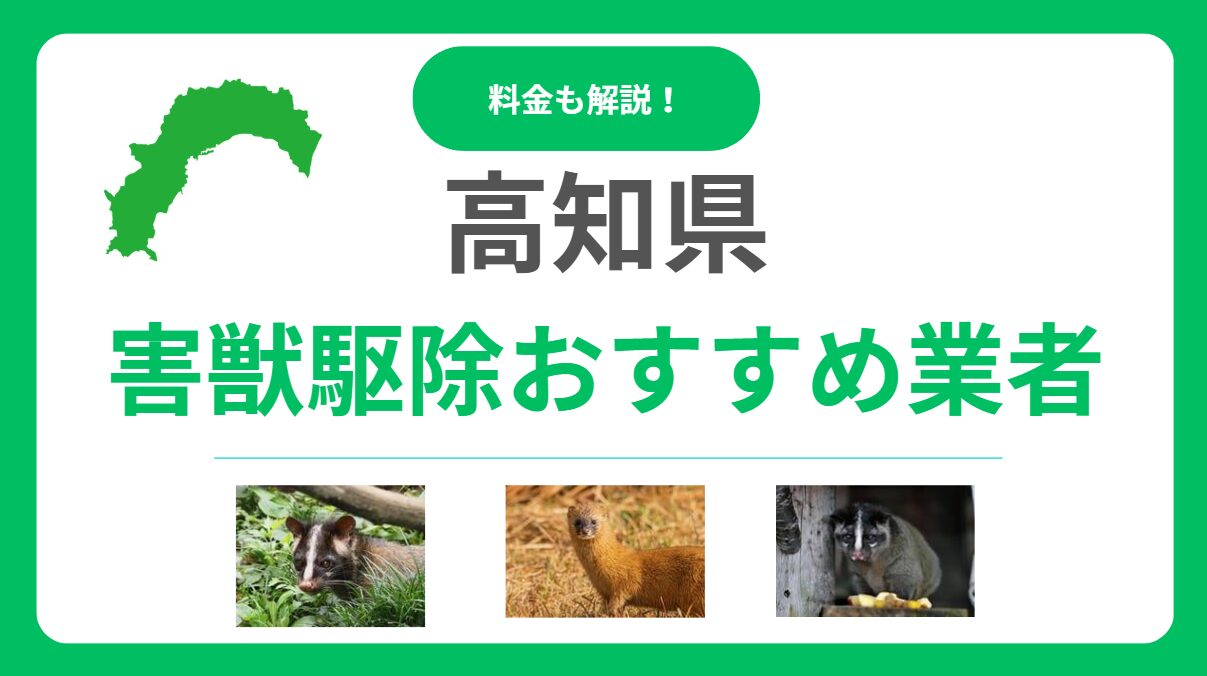 【高知県】害獣駆除のおすすめ業者15選！料金相場と優良な会社の選び方を解説