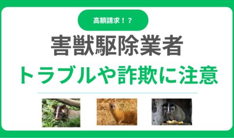 害獣駆除業者のトラブル実態と対処法！詐欺や高額請求被害を避ける方法とは？
