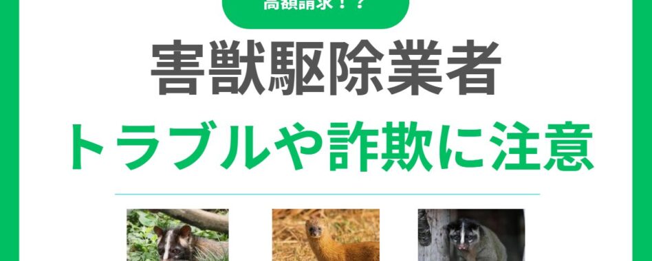 害獣駆除業者のトラブル実態と対処法！詐欺や高額請求被害を避ける方法とは？
