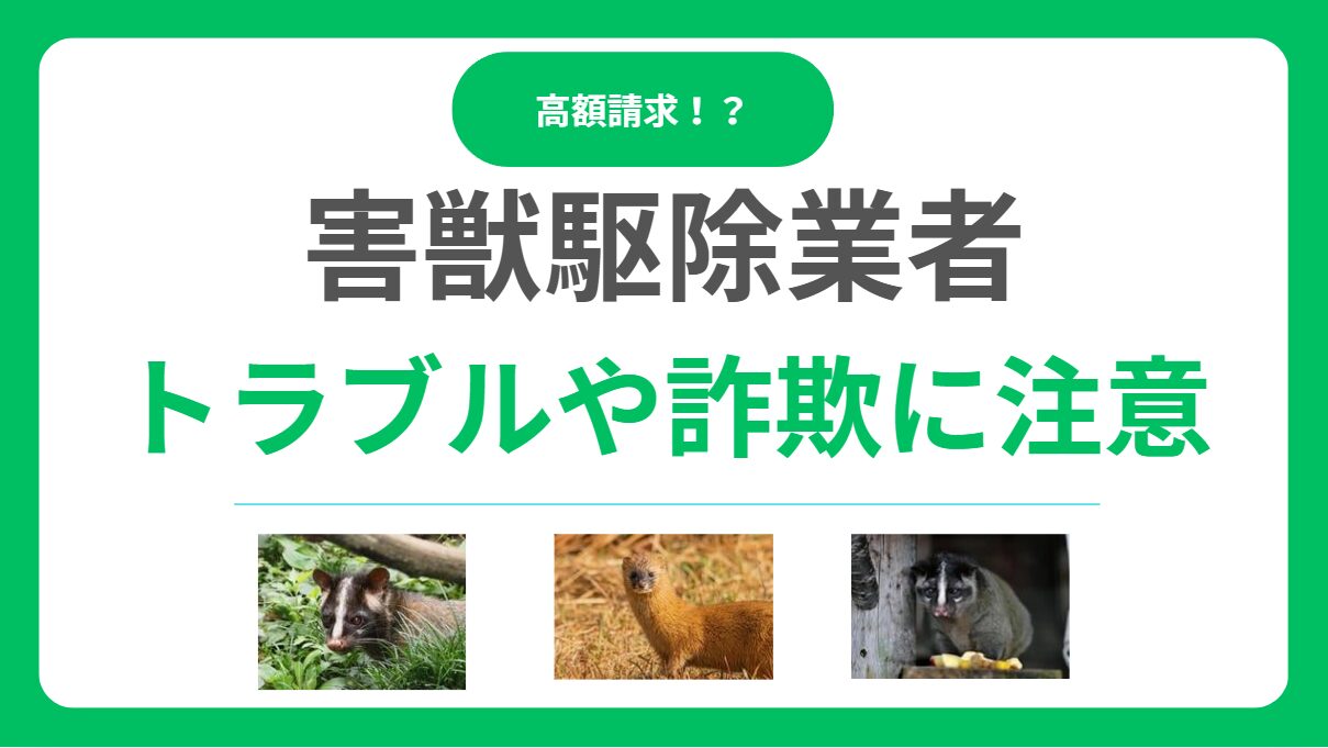 害獣駆除業者のトラブル実態と対処法！詐欺や高額請求被害を避ける方法とは？