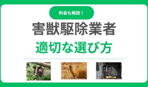 失敗しない害獣駆除業者の選び方は？口コミ・料金・保証で見極める方法！