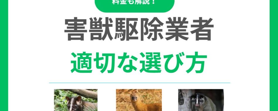失敗しない害獣駆除業者の選び方は？口コミ・料金・保証で見極める方法！