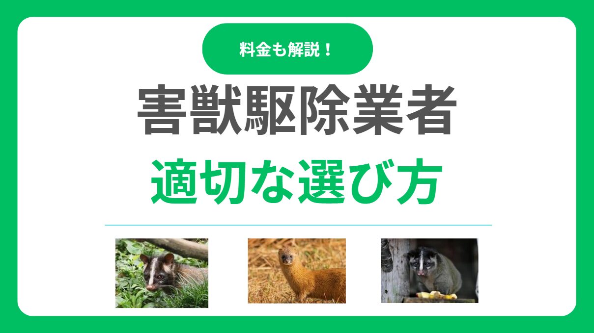 失敗しない害獣駆除業者の選び方は？口コミ・料金・保証で見極める方法！