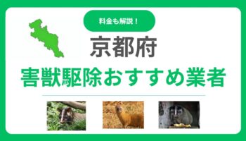 京都府の害獣駆除業者はどこがおすすめ？優良業者15社の料金と選び方を徹底解説