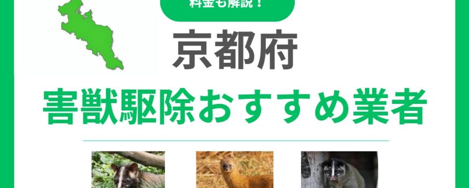 京都府の害獣駆除業者はどこがおすすめ？優良業者15社の料金と選び方を徹底解説