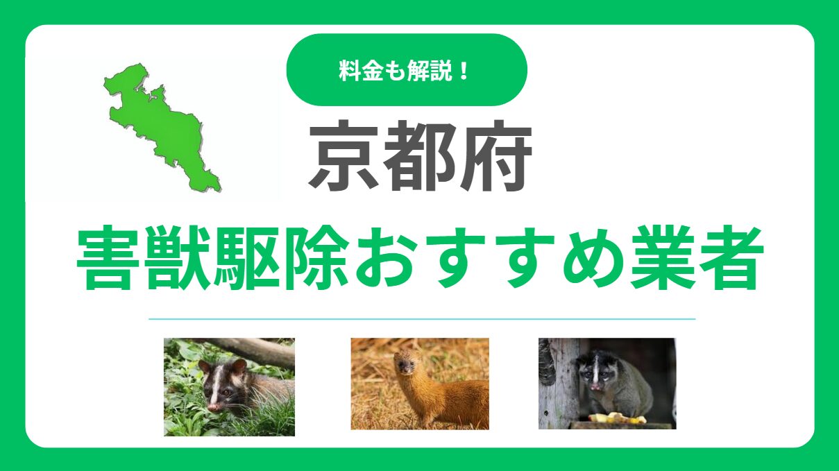 京都府の害獣駆除業者はどこがおすすめ？優良業者15社の料金と選び方を徹底解説