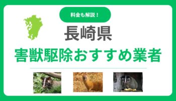 【長崎県版】優良な害獣駆除業者13選！後悔しないためのポイントと料金相場を詳しく解説