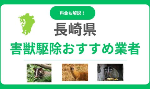 【長崎県版】優良な害獣駆除業者13選！後悔しないためのポイントと料金相場を詳しく解説