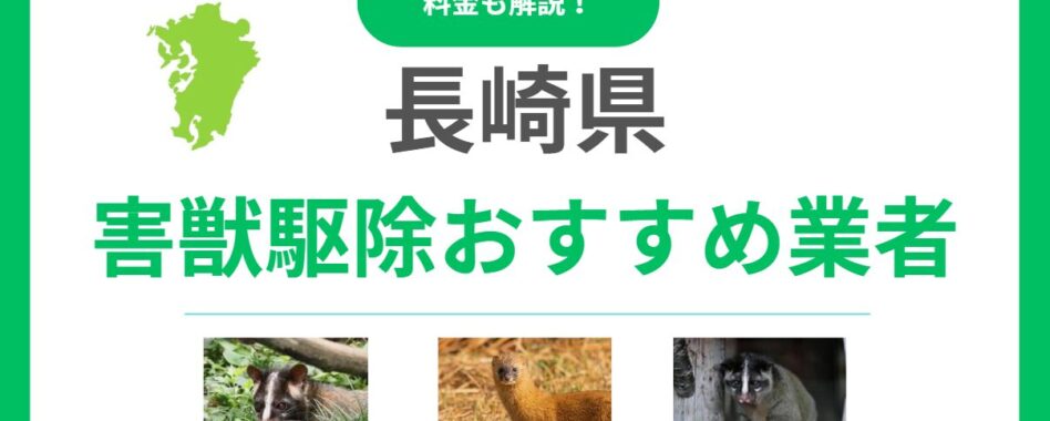 【長崎県版】優良な害獣駆除業者13選！後悔しないためのポイントと料金相場を詳しく解説