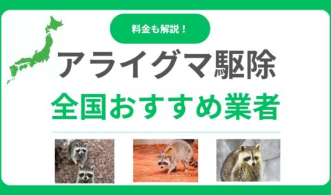 【2025年最新】アライグマ駆除業者おすすめ17選！費用相場と業者の選び方を解説！
