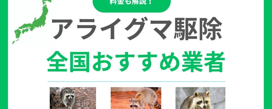 アライグマ駆除業者おすすめ17選！費用相場と業者の選び方を解説！