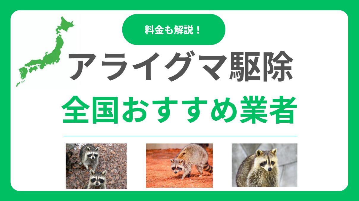 【2025年最新】アライグマ駆除業者おすすめ17選！費用相場と業者の選び方を解説！