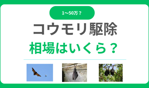 コウモリ駆除の相場は1万円-50万円！足場費用で変わる！料金内訳と安く抑えるコツ