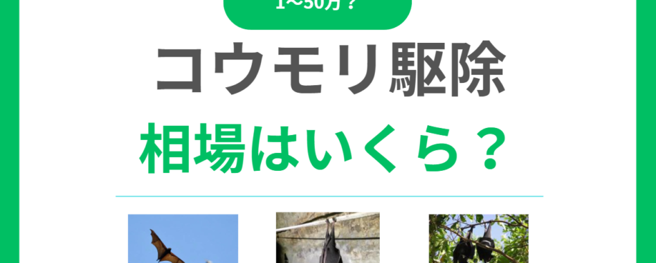 コウモリ駆除の相場は1万円-50万円！足場費用で変わる！料金内訳と安く抑えるコツ