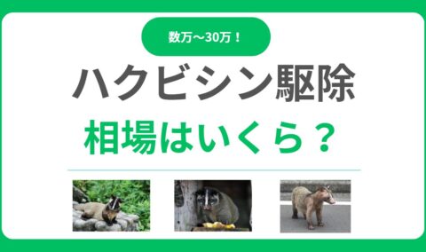 ハクビシン駆除の相場は数万〜30万円！料金の内訳と費用を安く抑える5つの方法