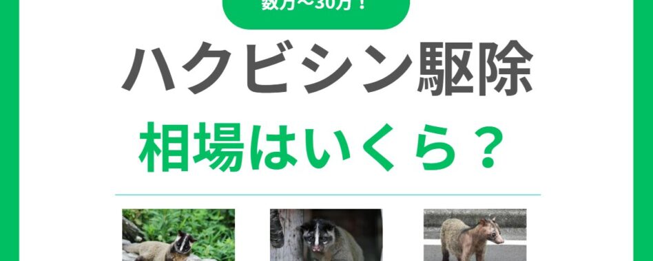 ハクビシン駆除の相場は数万〜30万円！料金の内訳と費用を安く抑える5つの方法
