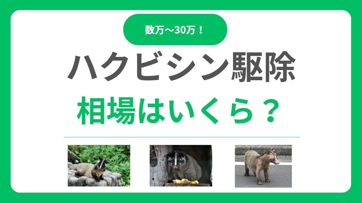 ハクビシン駆除の相場は数万〜30万円！料金の内訳と費用を安く抑える5つの方法