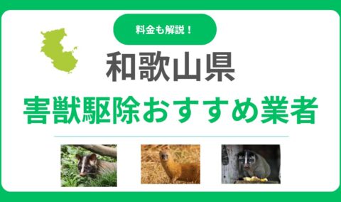 【和歌山県】害獣駆除の優良業者15選を徹底比較！料金相場と失敗しない選び方のポイント