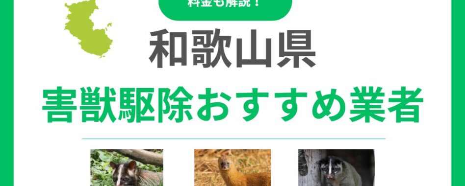 【和歌山県】害獣駆除の優良業者15選を徹底比較！料金相場と失敗しない選び方のポイント