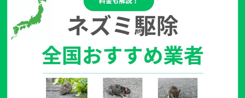 ネズミ駆除業者おすすめランキング17選！即日対応で口コミが良い業者を徹底紹介！