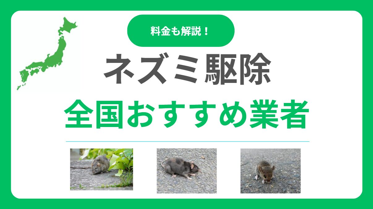 ネズミ駆除業者おすすめランキング17選！即日対応で口コミが良い業者を徹底紹介！