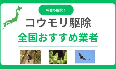 コウモリ駆除業者おすすめ12選！口コミが良く実績豊富で保証付き業者を厳選！
