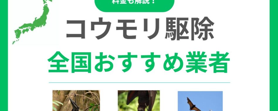 コウモリ駆除業者おすすめ12選！口コミが良く実績豊富で保証付き業者を厳選！