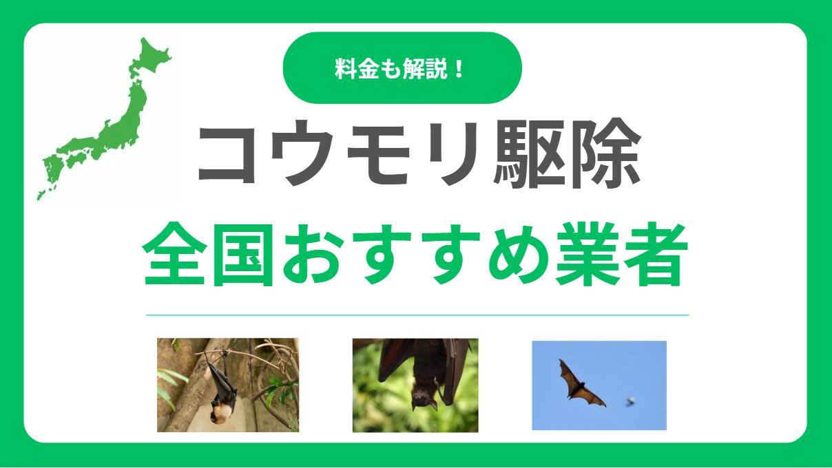 コウモリ駆除業者おすすめ12選！口コミが良く実績豊富で保証付き業者を厳選！