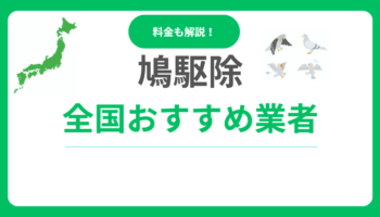 鳩駆除おすすめ業者ランキング15社！優良業者選び方と費用相場も解説！
