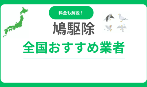 鳩駆除おすすめ業者ランキング15社！優良業者選び方と費用相場も解説！