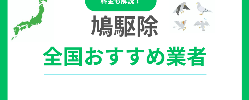鳩駆除おすすめ業者ランキング15社！優良業者選び方と費用相場も解説！