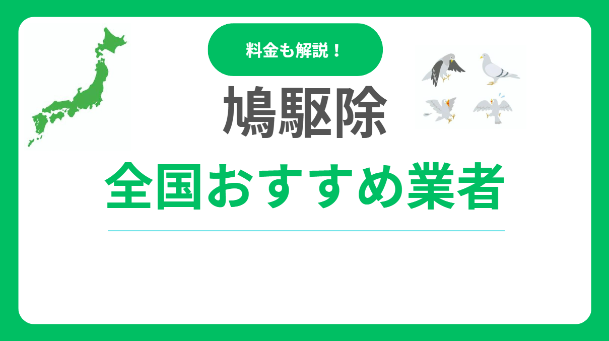 鳩駆除おすすめ業者ランキング15社！優良業者選び方と費用相場も解説！