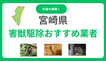 宮崎県の害獣駆除業者おすすめ15選！料金相場と信頼できるプロの選び方を解説