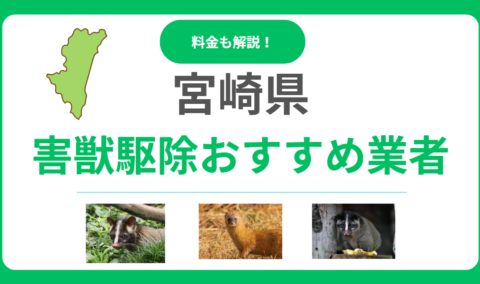 宮崎県の害獣駆除業者おすすめ15選！料金相場と信頼できるプロの選び方を解説