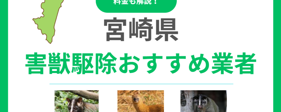 宮崎県の害獣駆除業者おすすめ15選！料金相場と信頼できるプロの選び方を解説