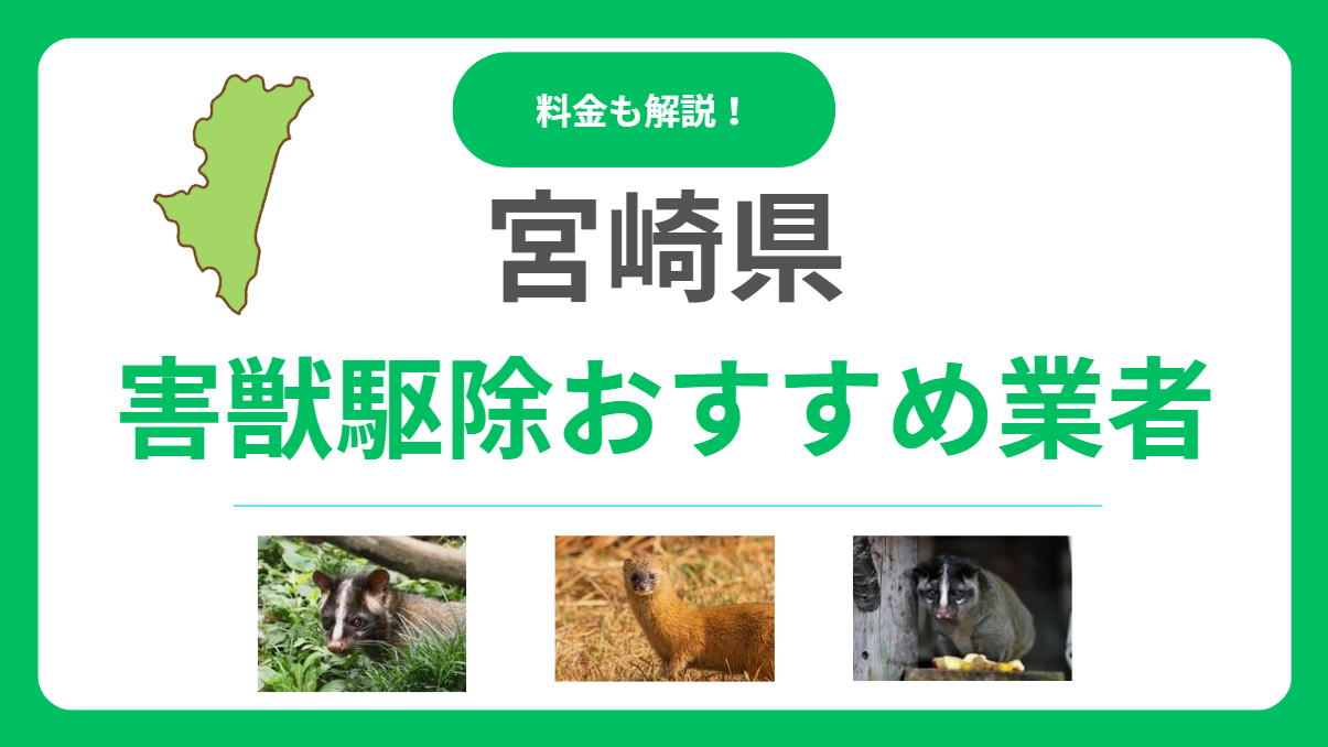 宮崎県の害獣駆除業者おすすめ15選！料金相場と信頼できるプロの選び方を解説