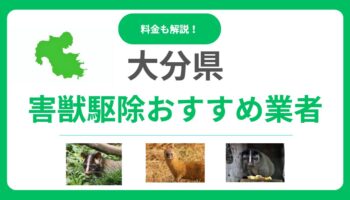 大分県の害獣駆除業者はどこがおすすめ？信頼できる業者15選の料金・サービスを徹底比較！