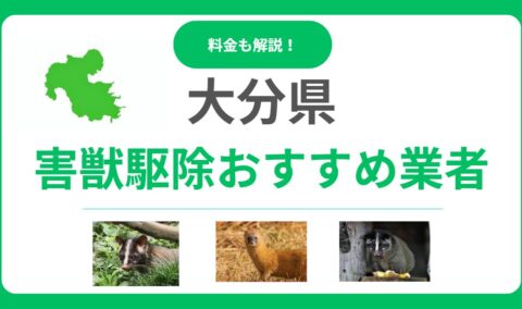 大分県の害獣駆除業者はどこがおすすめ？信頼できる業者15選の料金・サービスを徹底比較！