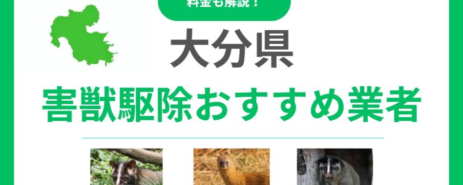 大分県の害獣駆除業者はどこがおすすめ？信頼できる業者15選の料金・サービスを徹底比較！