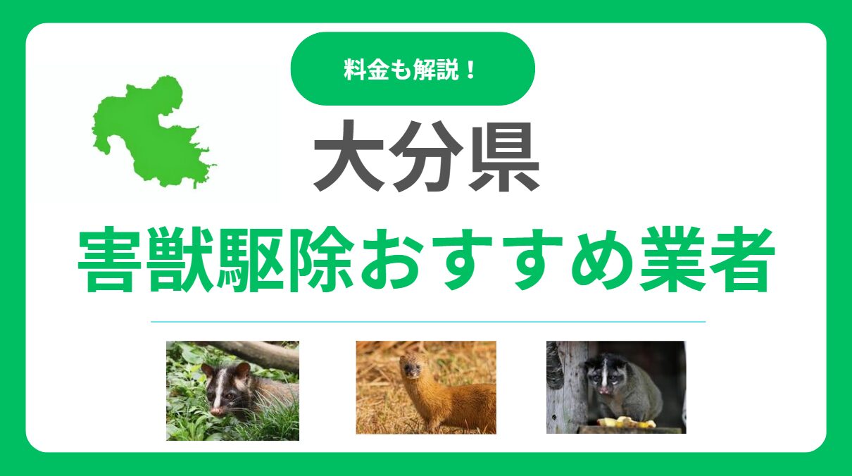 大分県の害獣駆除業者はどこがおすすめ？信頼できる業者15選の料金・サービスを徹底比較！