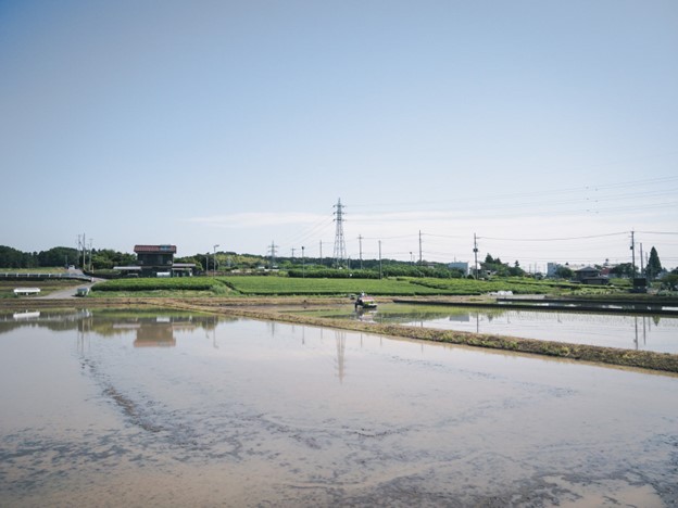 庭と休耕田や田んぼのなど場所別の草刈り時期